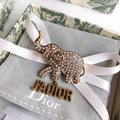 DIOR CD Brooch 03